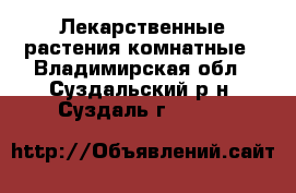 Лекарственные растения комнатные - Владимирская обл., Суздальский р-н, Суздаль г.  »    